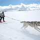 Image for article titled The Most Unusual Sports in Winter Olympics History